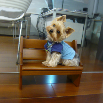 2009 大稻埕 Mookie 坐在禮拜椅模型